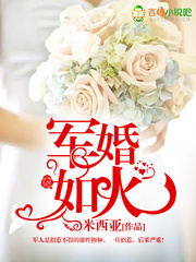 机甲契约