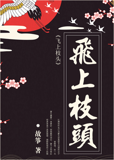 席德梅尔的海盗