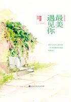 新编三宝局长1一10部未删减版