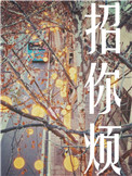 边城汉子免费全集在线观看