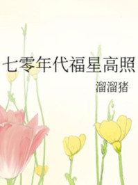 燃情仕途小说