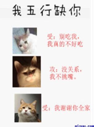 暮色降临时 丁墨 完结