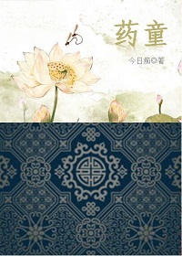 神奇宝贝之变态系统