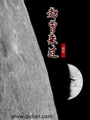 第九个寡妇国语版全集