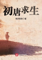 娜美罗宾女帝的群帕比赛