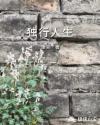 赵云皮肤