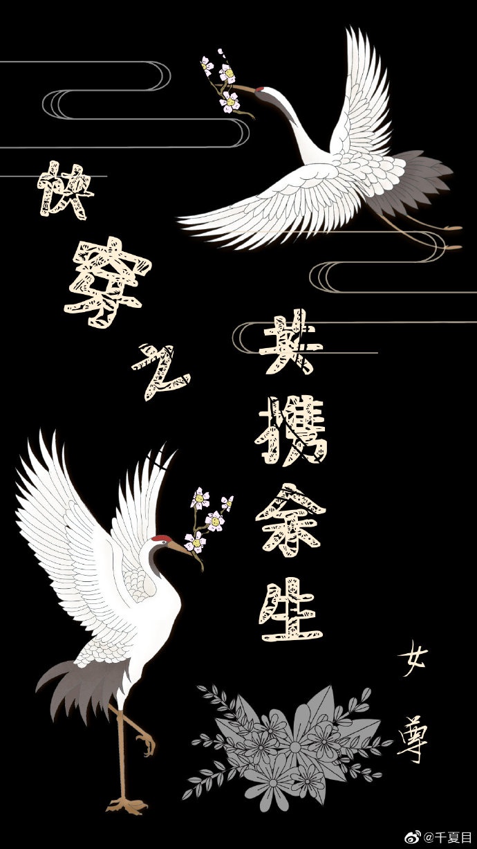 第五人格车文