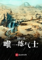 无翼乌之我的教师