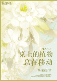 杨门十二寡妇艳史完整版