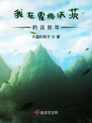 深田咏美在线播放