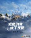 新华人第一页sss视频