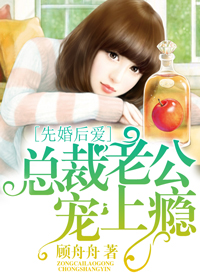 火炬之光2攻略