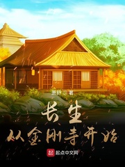 美国伦理片