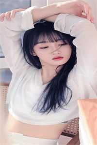寻秦记小说