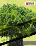 美味关系2韩国电影免费观看完整版