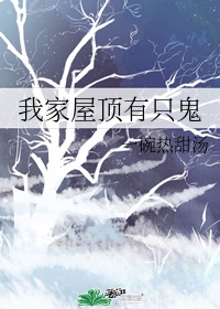 叶秋白冰小说