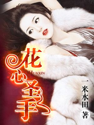 小说童林传全集