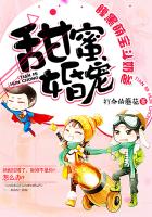 不知进退西方经济学小说
