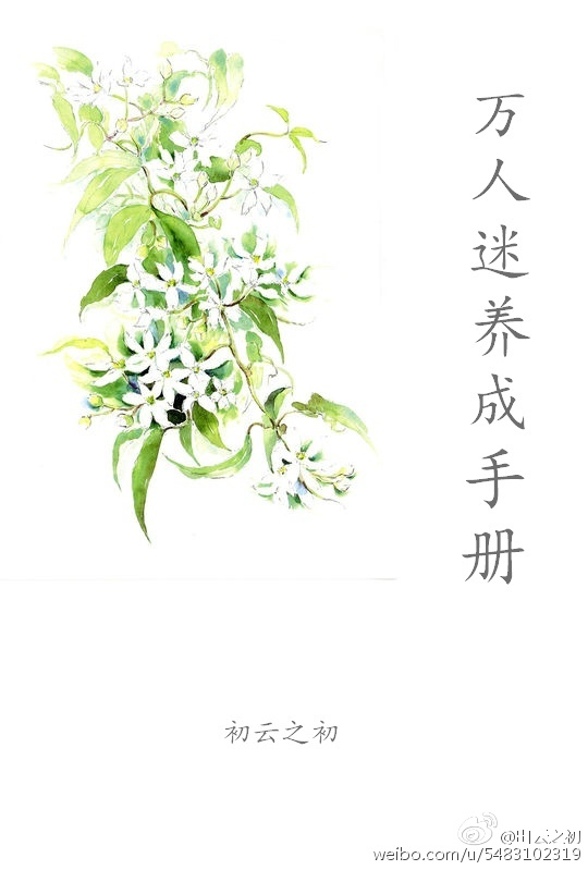 梦幻西游无底洞加点