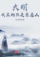 盛势小说免费阅读256