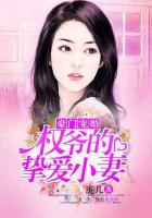 壮熊的世界