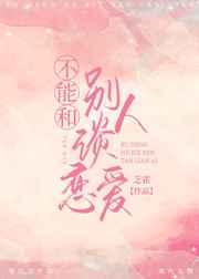 激情视频小说