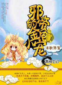 口袋妖怪xy