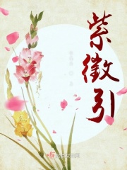 上错电梯进错全文阅读