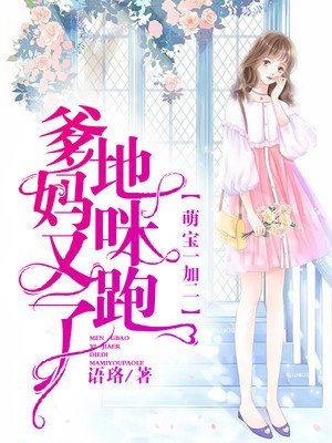 护宝风云电视剧全集