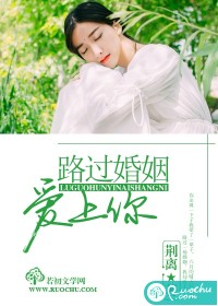 笙笙入槐小说在线阅读