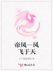 免费在线看韩国理论片