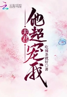机械姬2复活magnet