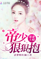都市后宫娇妻猎艳录