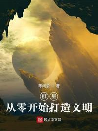 极品小姨