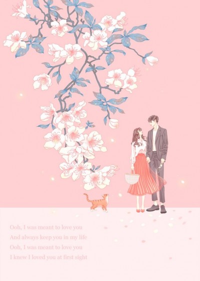 蒙德温泉节