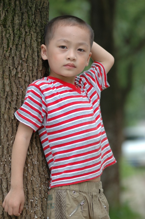 盖世帝尊 小说