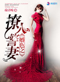 绝世神偷废材七小组 txt