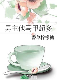 射雕外传之肉色黄蓉
