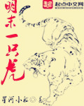 西野翔rbd449在线播放