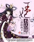 一夜残欢 小说