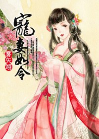 我的抗战之猎豹突击队