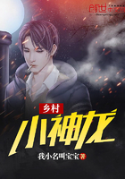 窥视小说