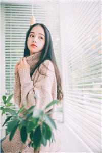 亚洲一二区视频