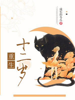 亚洲精品在线视频观看