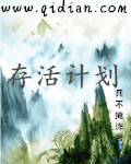 wordpress成品网站