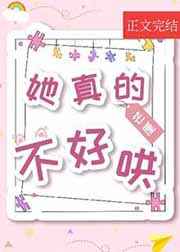 电视剧穆桂英挂帅