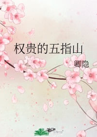 大信橱柜官网
