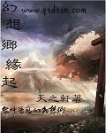 艾诺迪亚4忍者加点