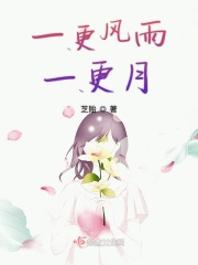 午夜第九理论达达兔dy888流