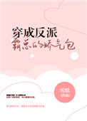 爱插视频